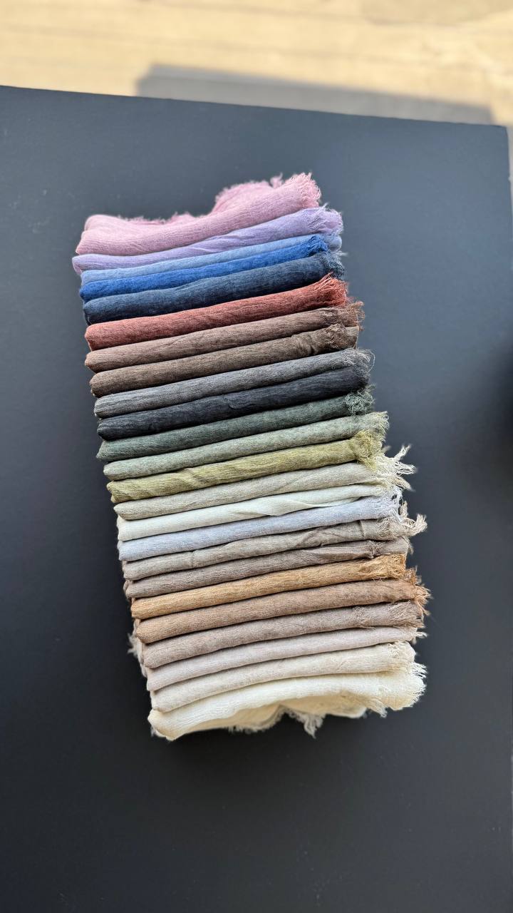 photo_12_2025-08-21_19-21-11