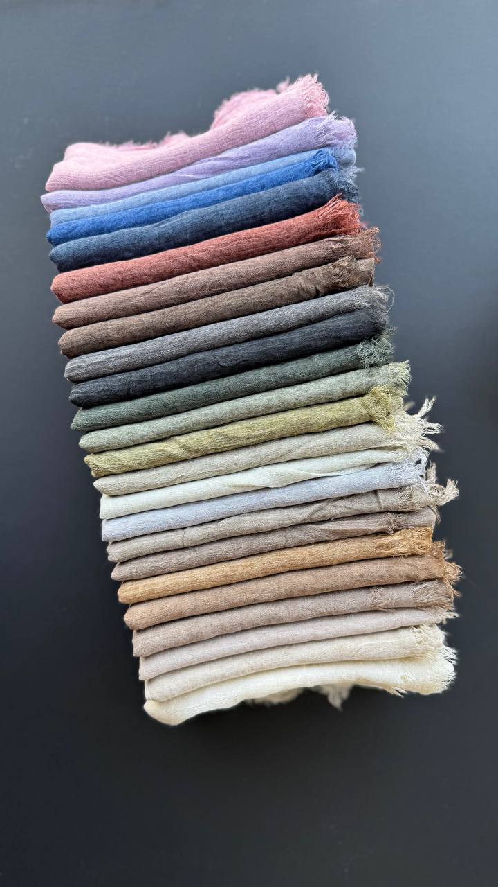 photo_13_2025-08-21_19-21-11