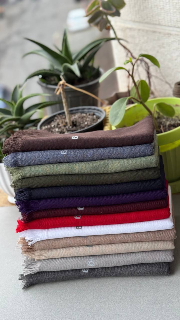 photo_1_2024-12-11_10-58-49