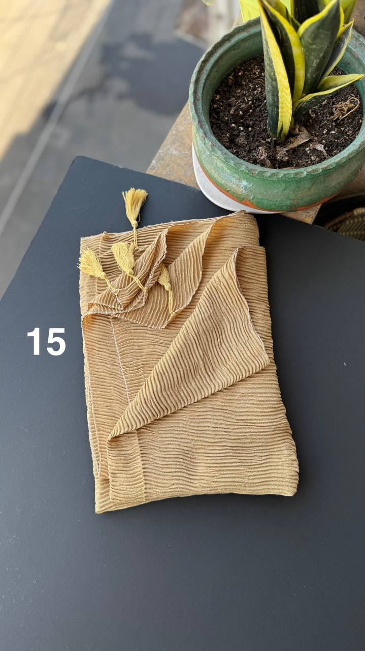 photo_21_2025-09-01_16-59-36