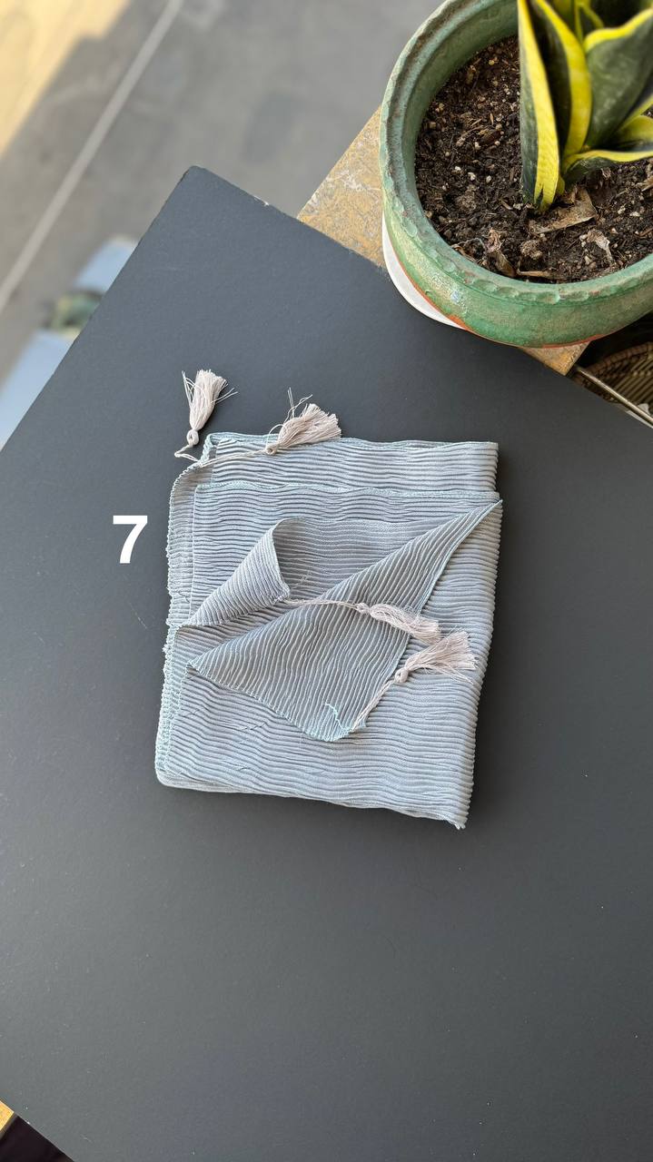 photo_29_2025-09-01_16-59-36