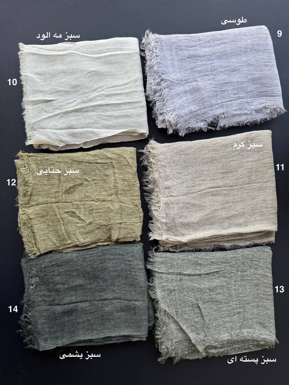 photo_5_2025-08-21_19-21-11