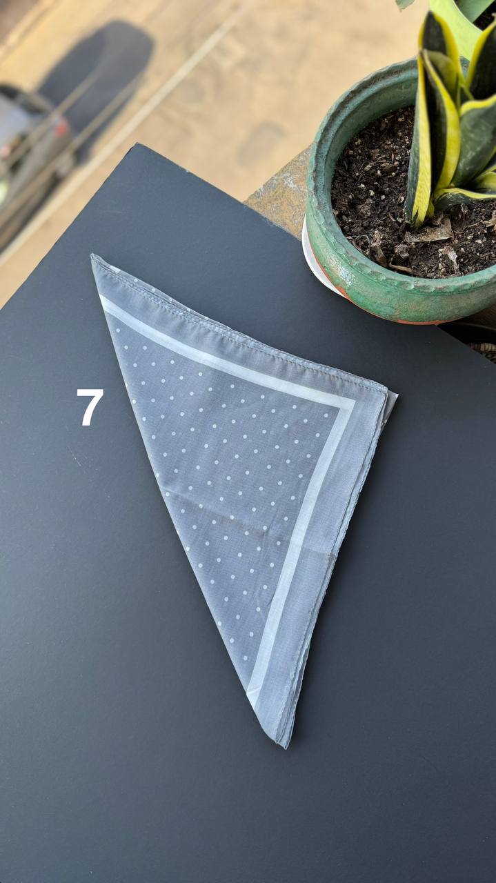 photo_10_2025-09-01_17-00-11