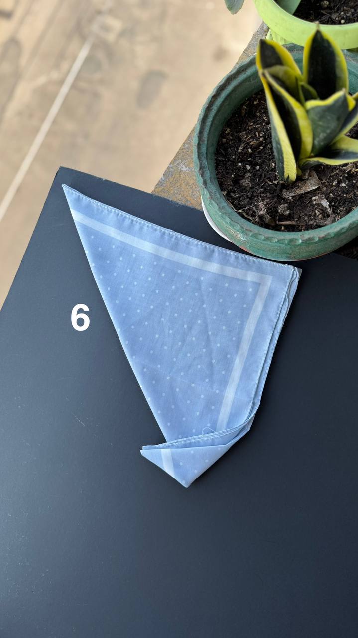 photo_11_2025-09-01_17-00-11