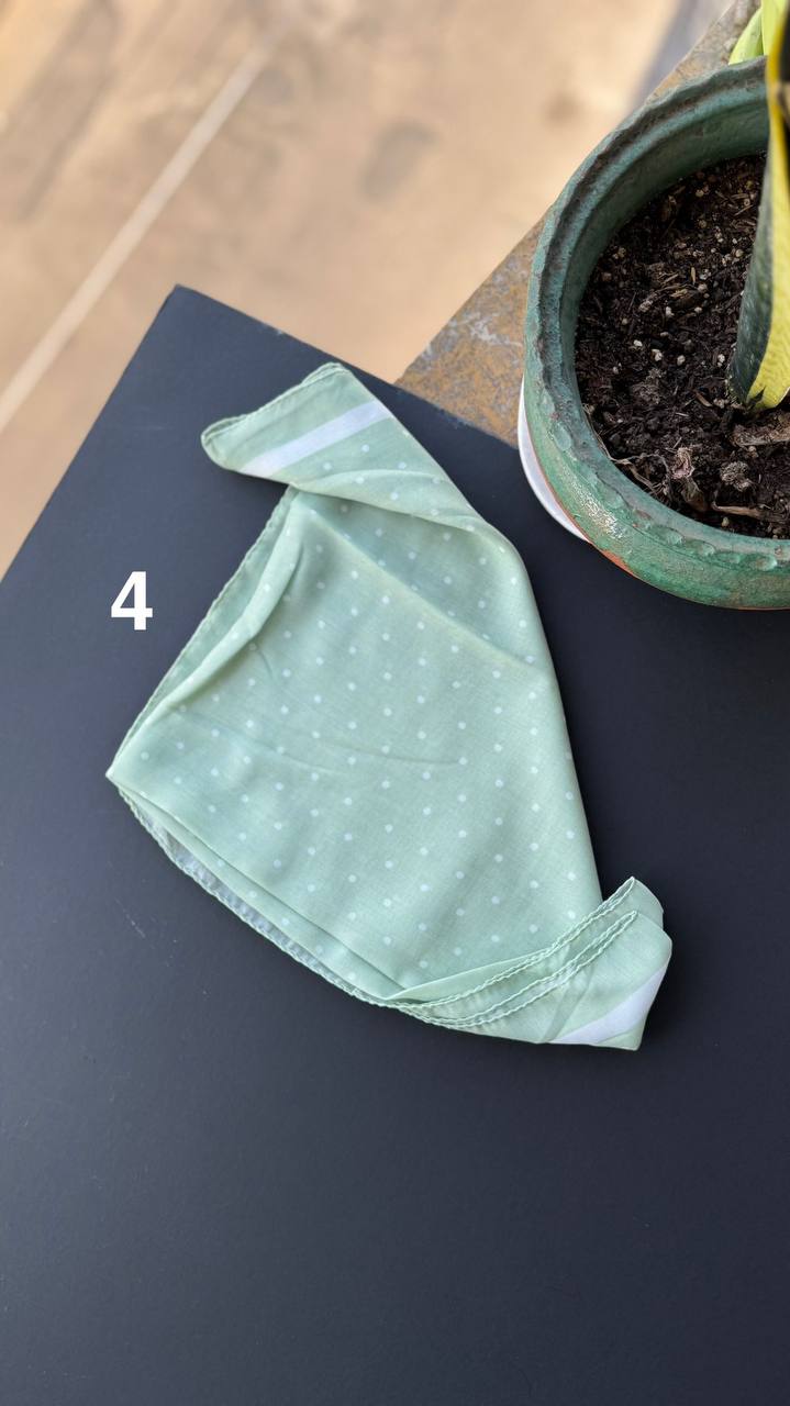 photo_13_2025-09-01_17-00-11