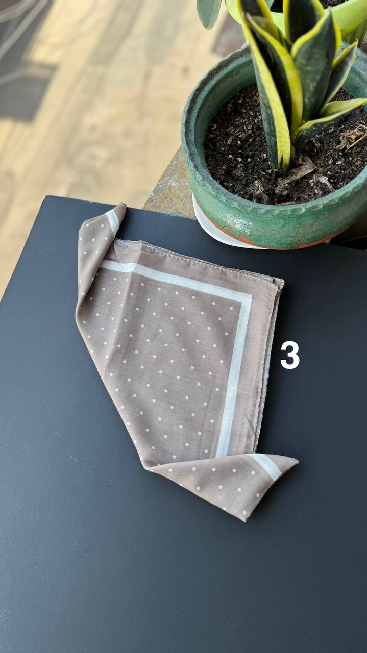 photo_14_2025-09-01_17-00-11