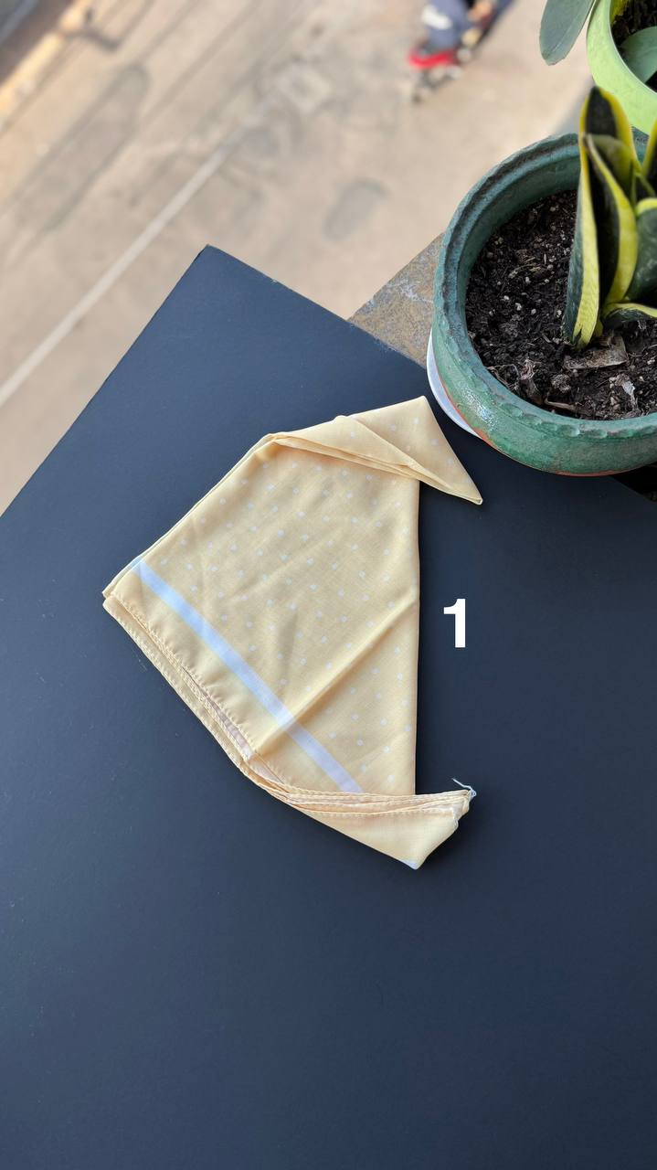 photo_16_2025-09-01_17-00-11