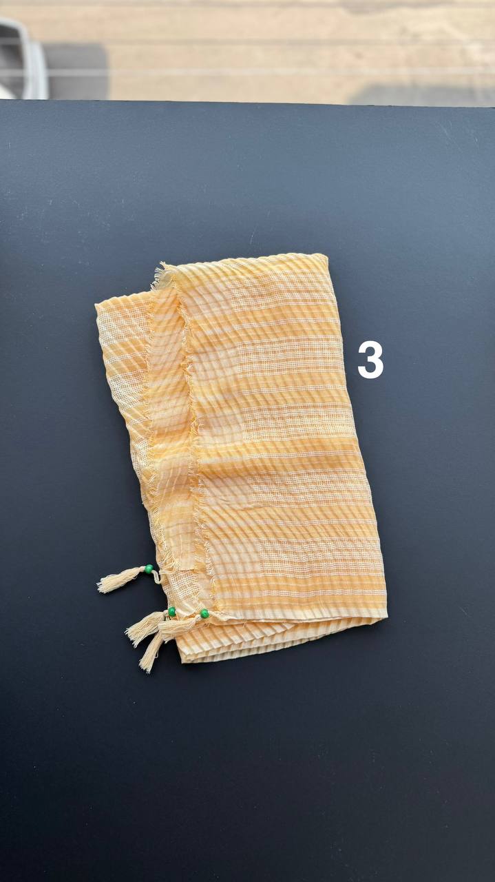 photo_31_2025-08-25_10-10-03