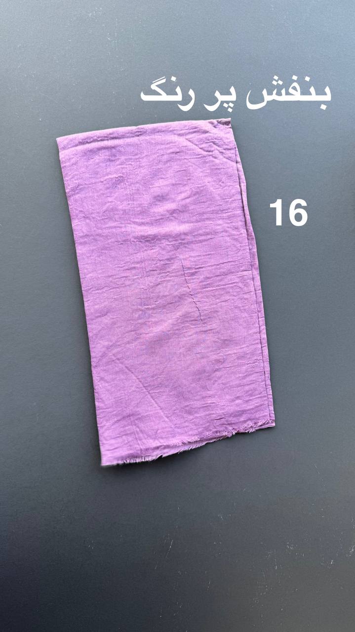 photo_45_2025-06-09_11-33-06