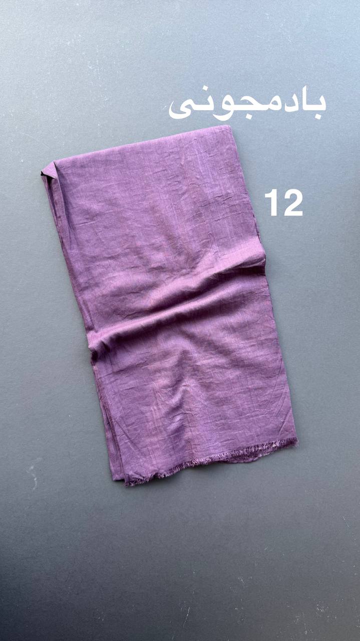 photo_61_2025-06-09_11-33-07