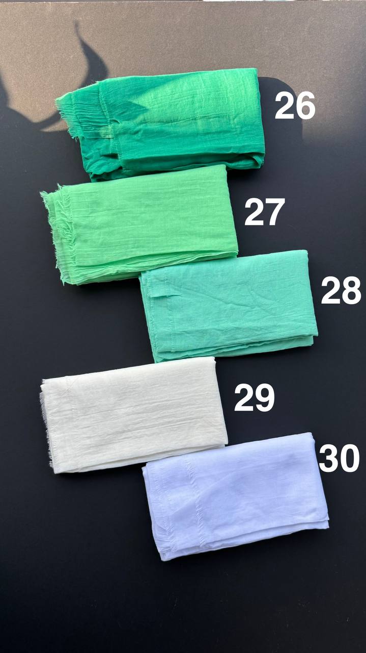 photo_65_2025-06-09_11-33-07