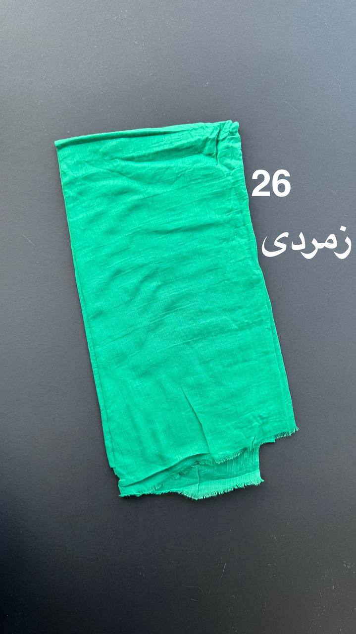 photo_73_2025-06-09_11-33-07