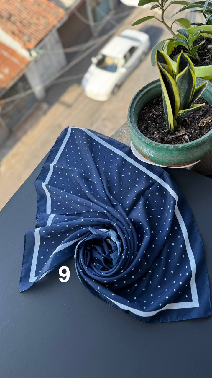 photo_9_2025-09-01_17-00-11