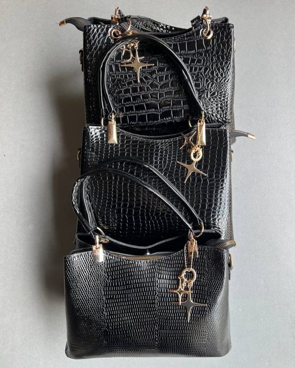 کیف ورنی وارداتی (کد 224)