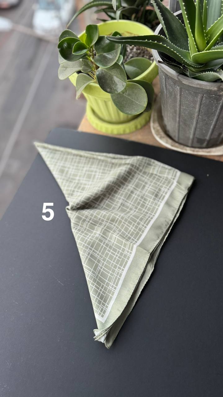 photo_10_2025-09-05_20-50-11