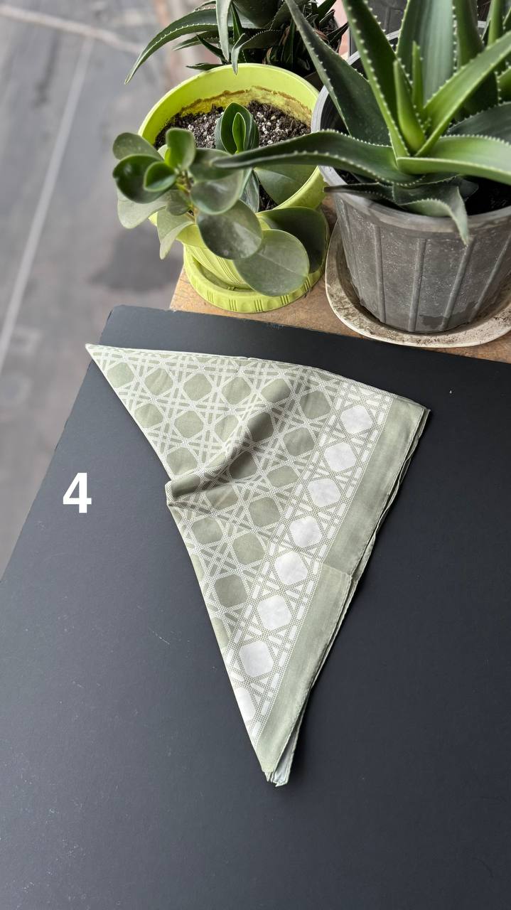 photo_11_2025-09-05_20-50-11