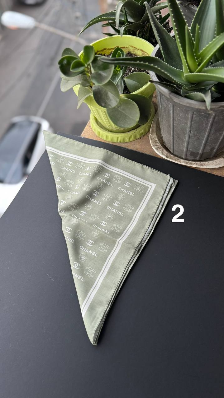 photo_12_2025-09-05_20-50-11