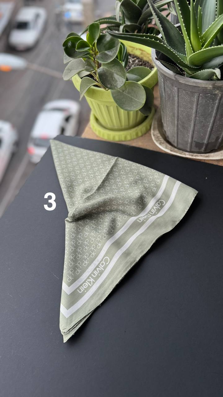 photo_13_2025-09-05_20-50-11