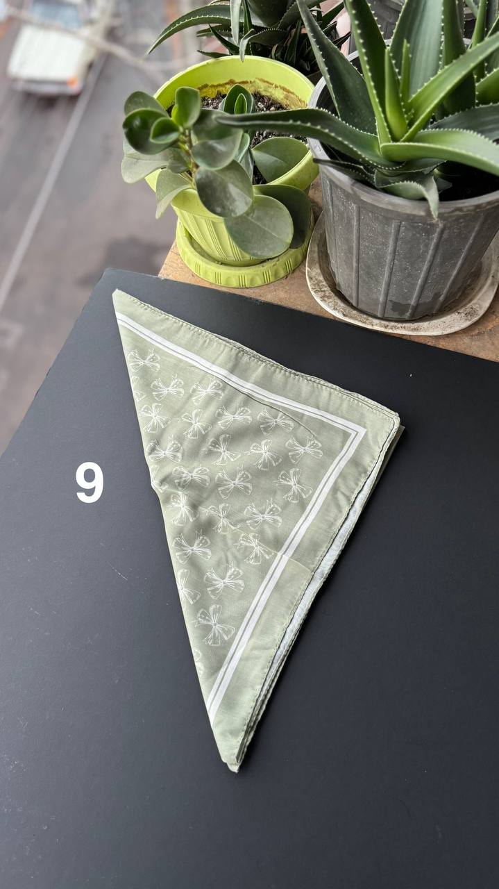 photo_6_2025-09-05_20-50-11