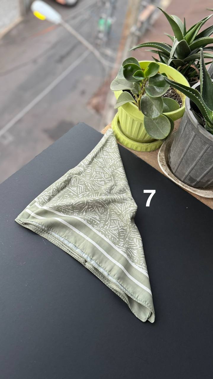 photo_8_2025-09-05_20-50-11