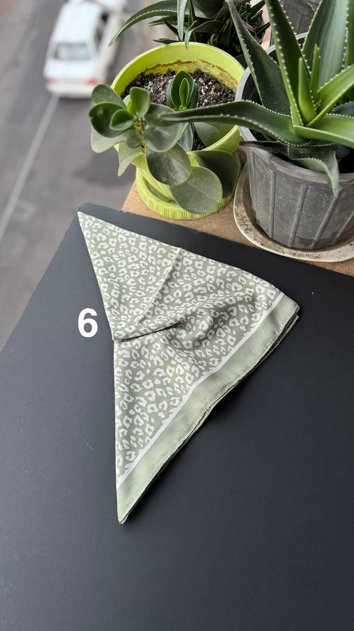 photo_9_2025-09-05_20-50-11