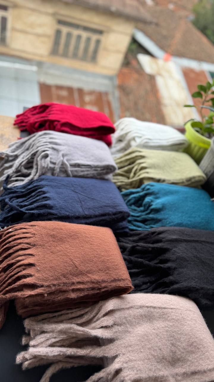 photo_10_2025-10-01_08-20-15