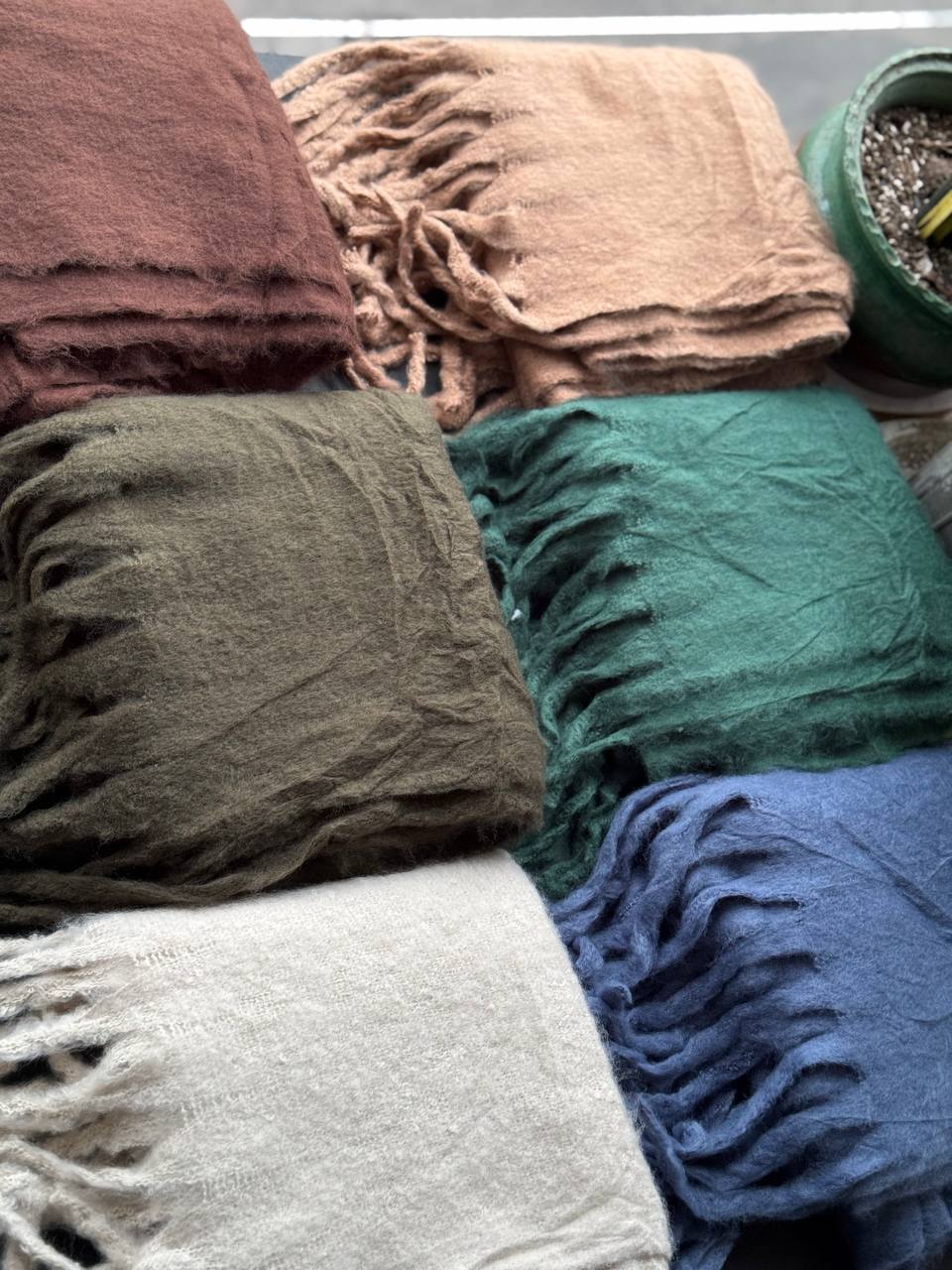 photo_10_2025-10-08_20-07-42