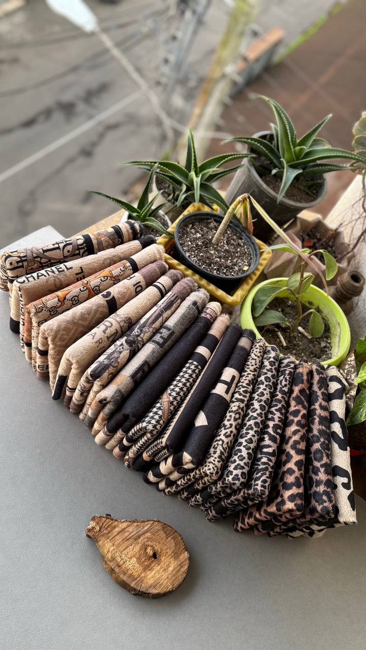 photo_11_2024-10-29_14-14-22