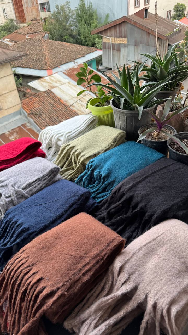 photo_11_2025-10-01_08-20-15