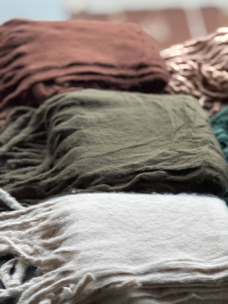 photo_11_2025-10-08_20-07-42