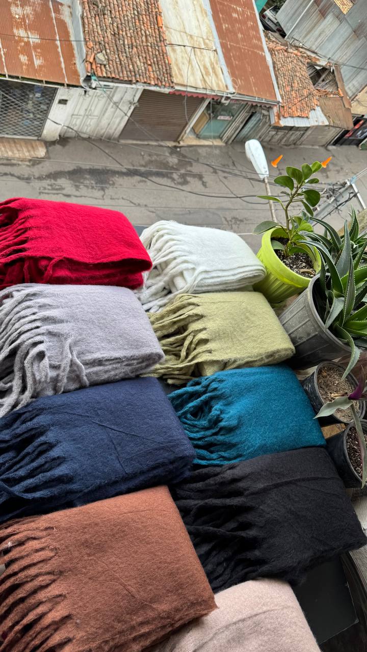 photo_12_2025-10-01_08-20-15