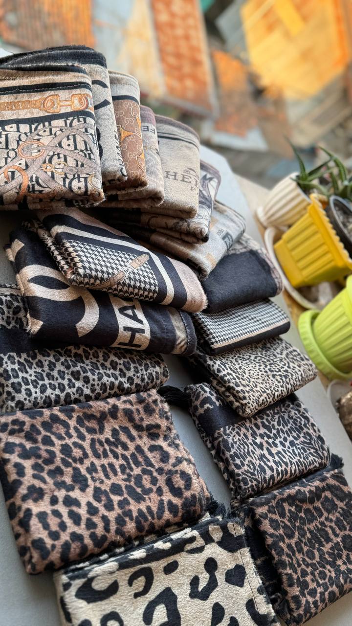 photo_13_2024-10-29_14-14-22