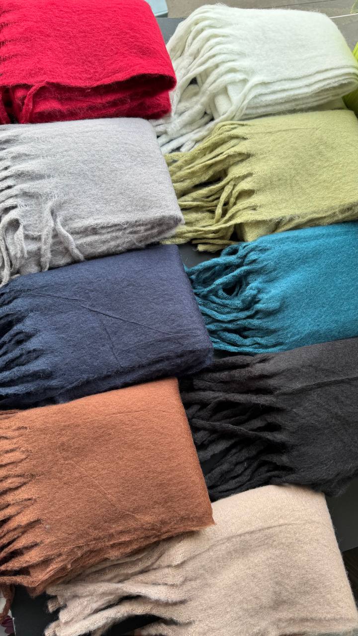 photo_13_2025-10-01_08-20-15