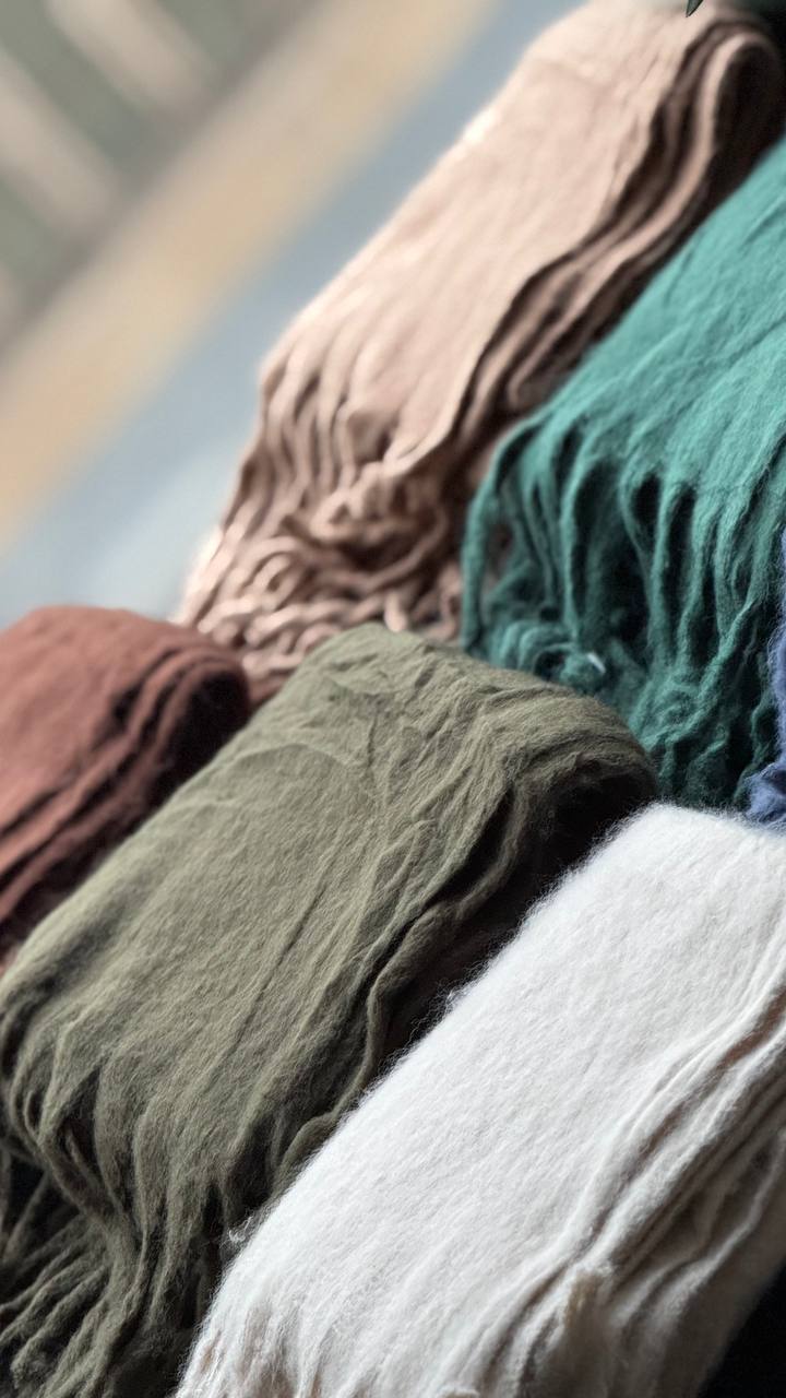 photo_16_2025-10-08_20-07-42