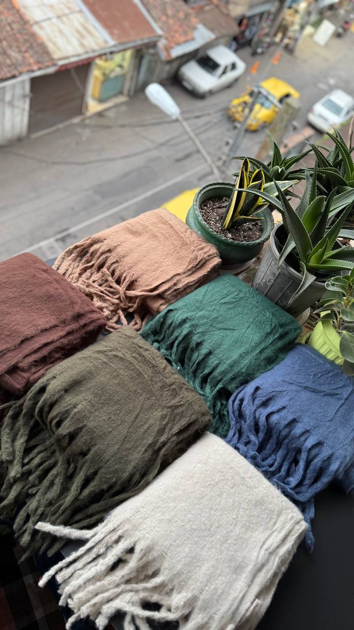 photo_18_2025-10-08_20-07-42