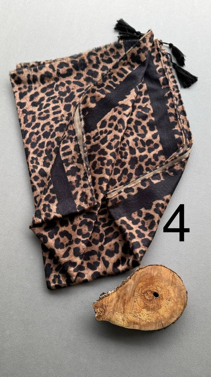 photo_19_2024-10-29_14-14-22