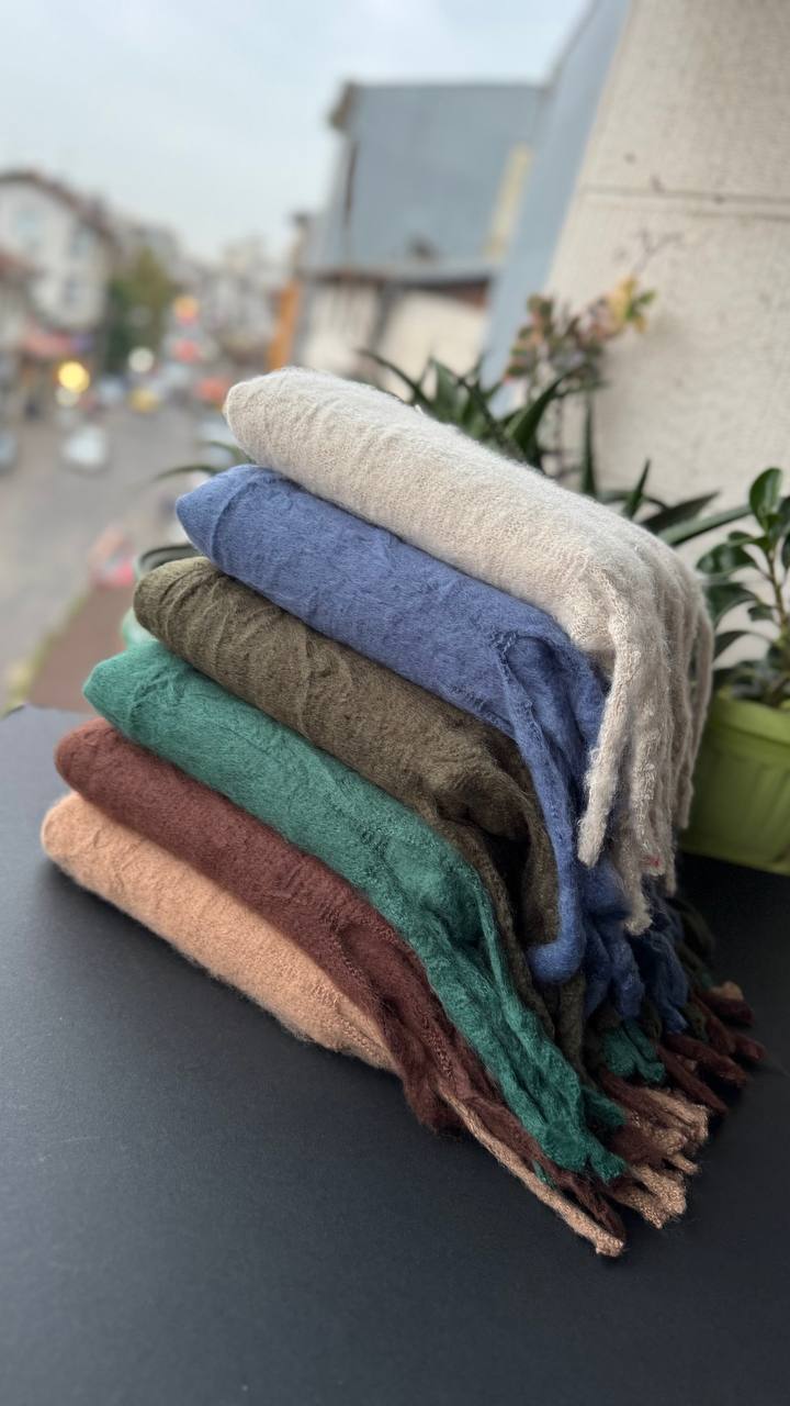 photo_19_2025-10-08_20-07-42