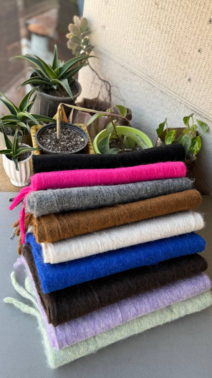 photo_1_2024-10-29_13-37-21