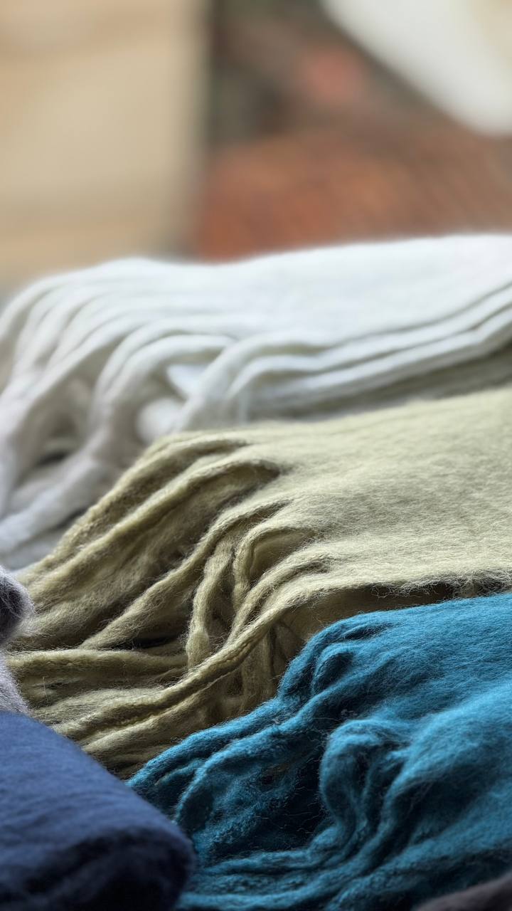 photo_1_2025-10-01_08-20-15