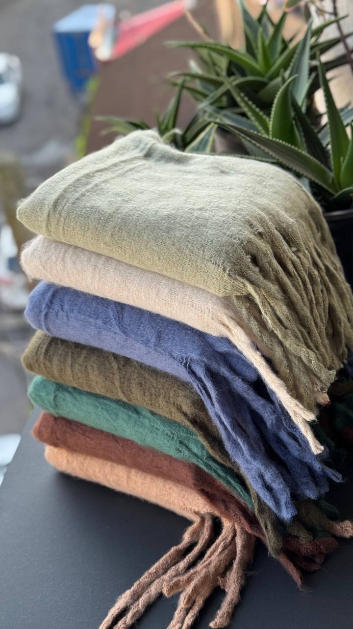 photo_1_2025-10-08_20-07-42