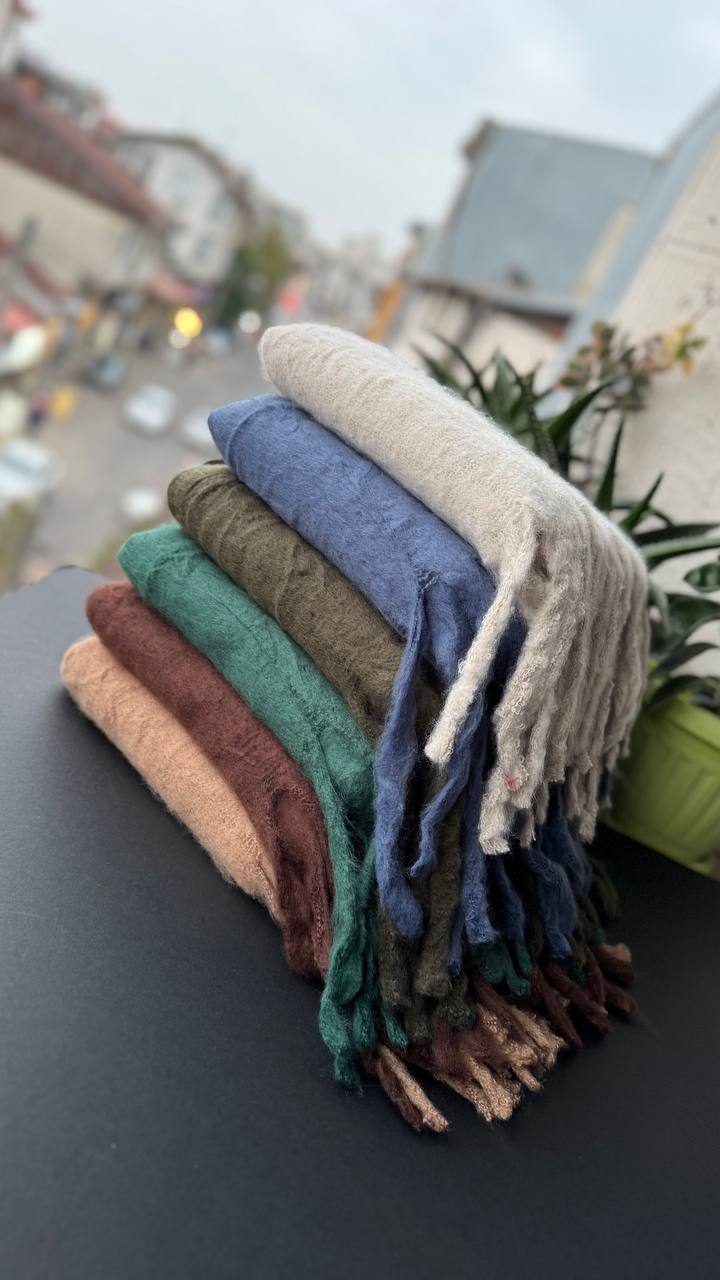 photo_20_2025-10-08_20-07-42