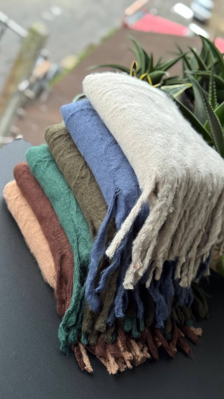 photo_21_2025-10-08_20-07-42