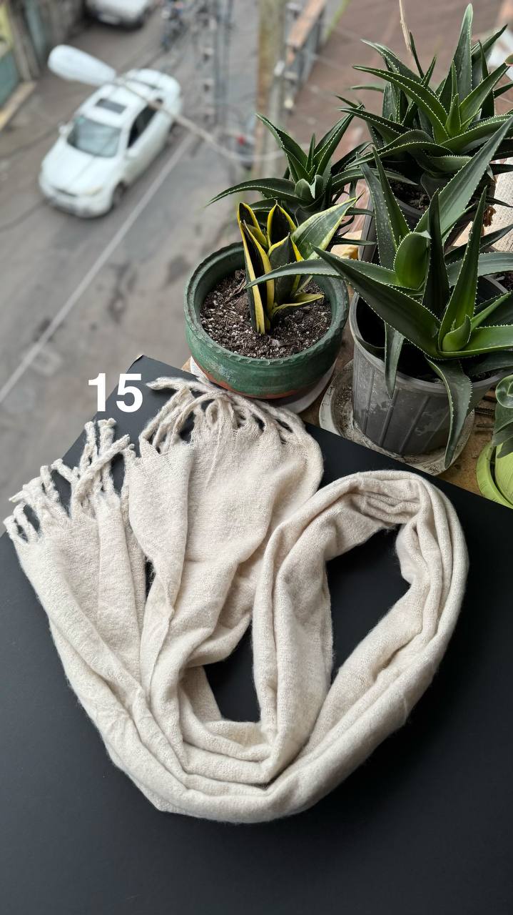 photo_22_2025-10-08_20-07-42