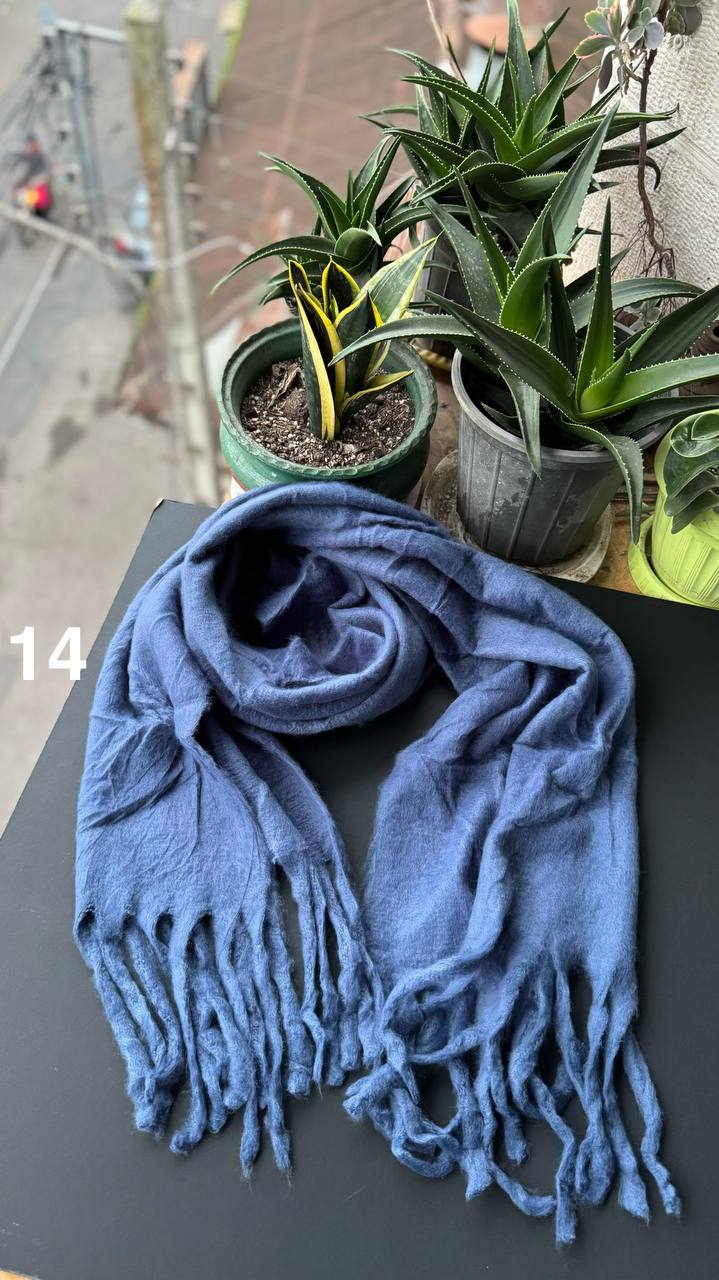 photo_23_2025-10-08_20-07-42