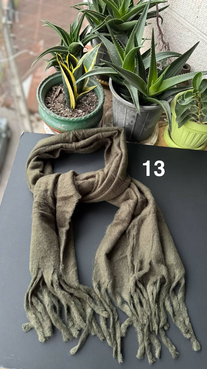 photo_24_2025-10-08_20-07-42