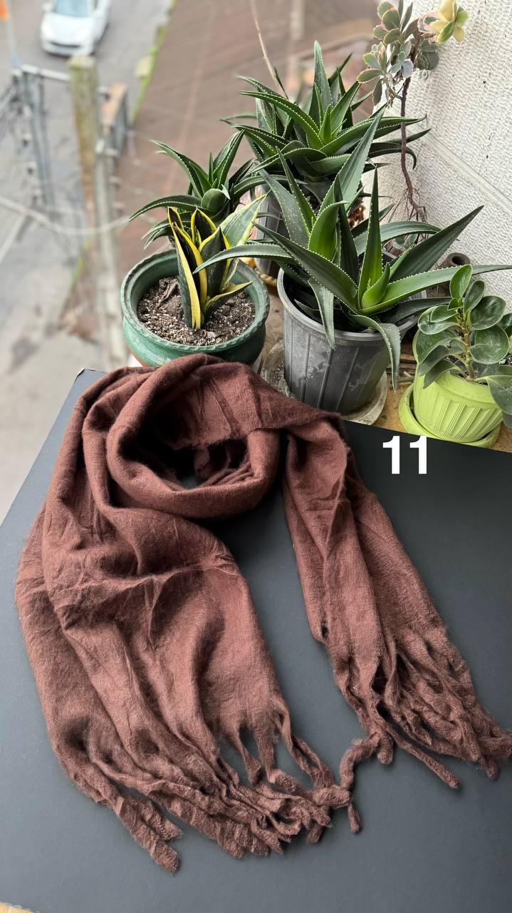 photo_25_2025-10-08_20-07-42