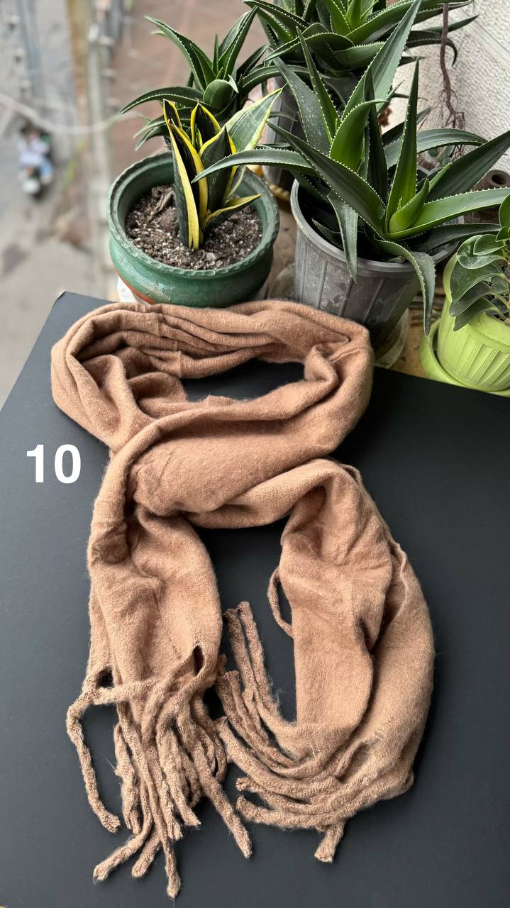 photo_26_2025-10-08_20-07-42