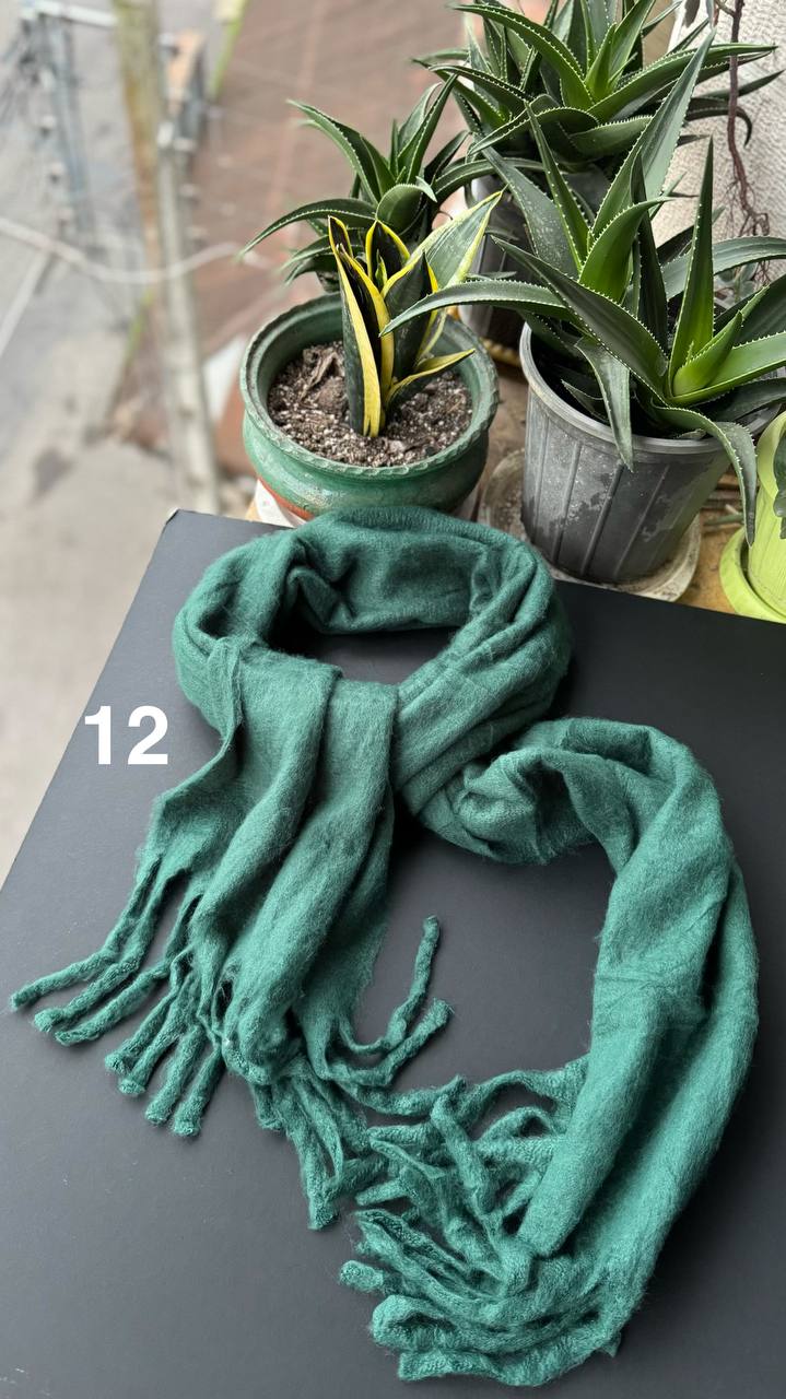 photo_27_2025-10-08_20-07-42