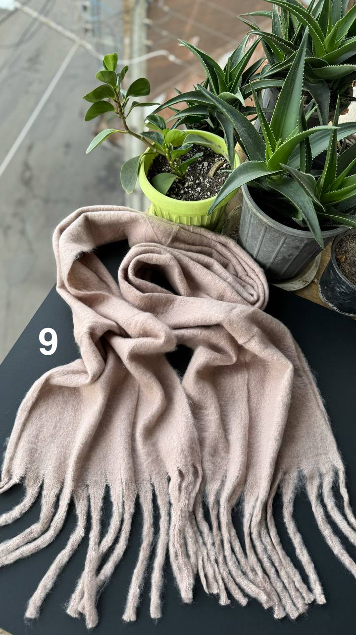 photo_29_2025-10-01_08-20-15