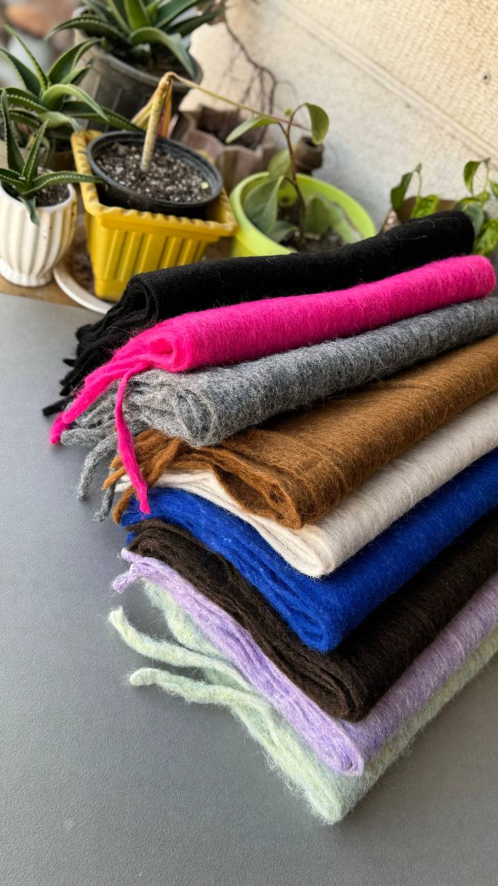 photo_2_2024-10-29_13-37-21